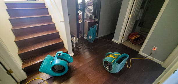 Best Local water damage restoration  in Missouri Valley, IA