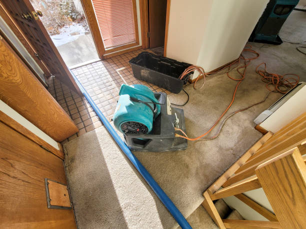 Best 24/7 water damage repair  in Missouri Valley, IA