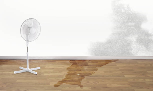 Best Water damage restoration cost  in Missouri Valley, IA