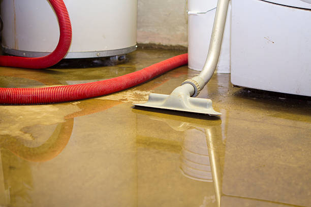 Best Flood damage cleanup  in Missouri Valley, IA