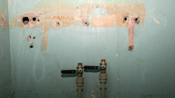 Best Water damage restoration experts  in Missouri Valley, IA