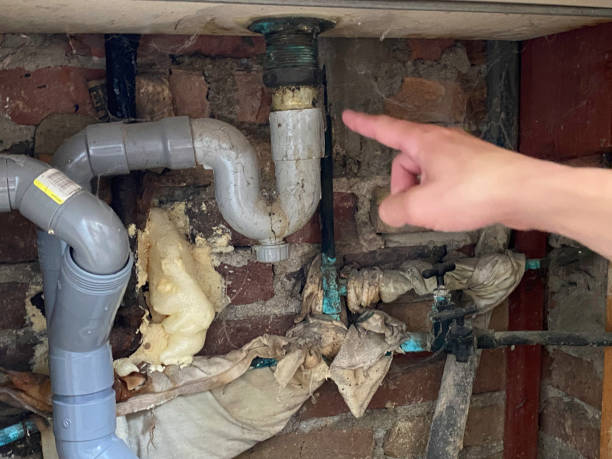 Best Water damage cleanup near me  in Missouri Valley, IA